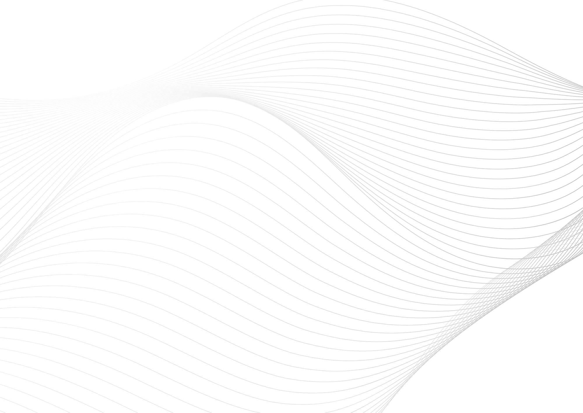 Web Site Tasarımcısı, Milas